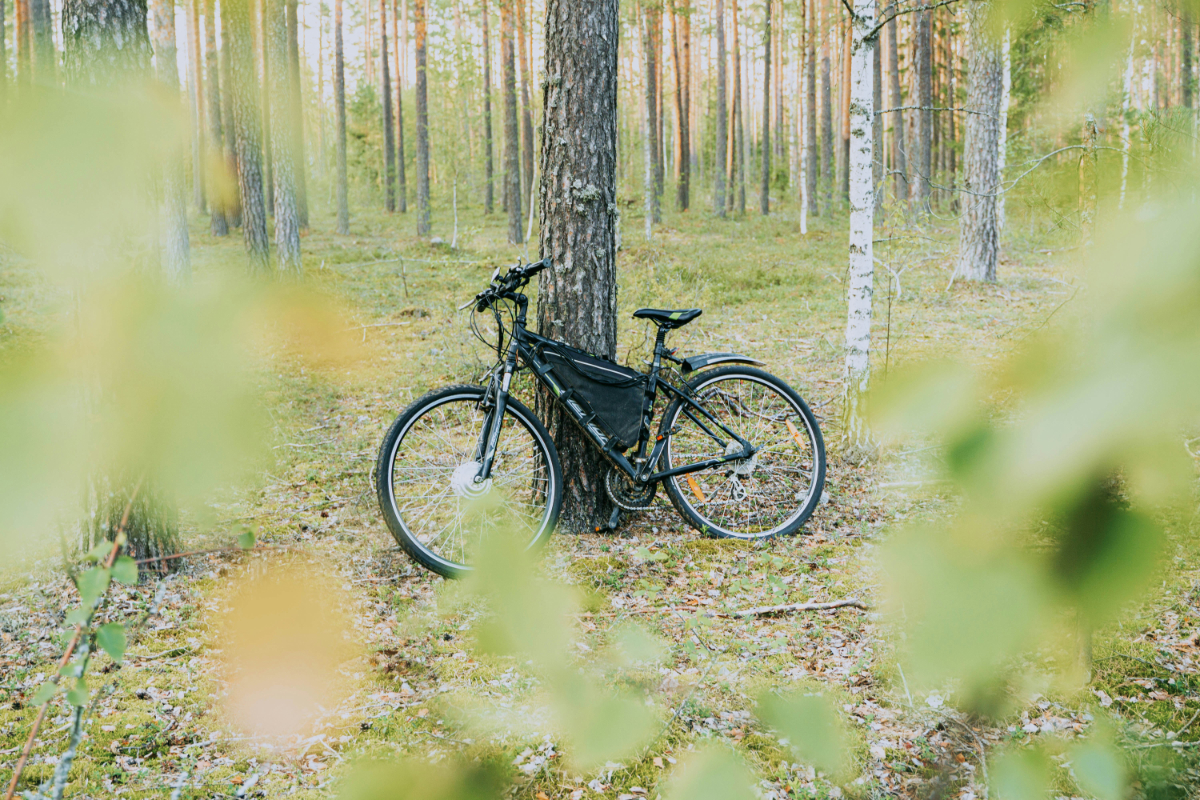 photograph of a black bike